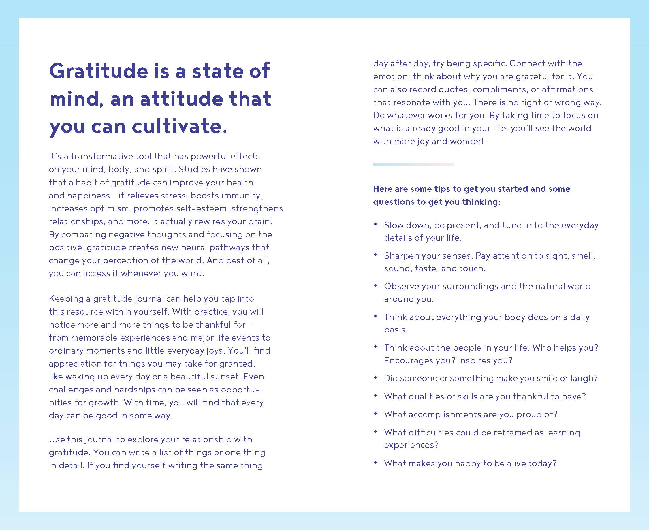 Gratitude One Line a Day Memory Book