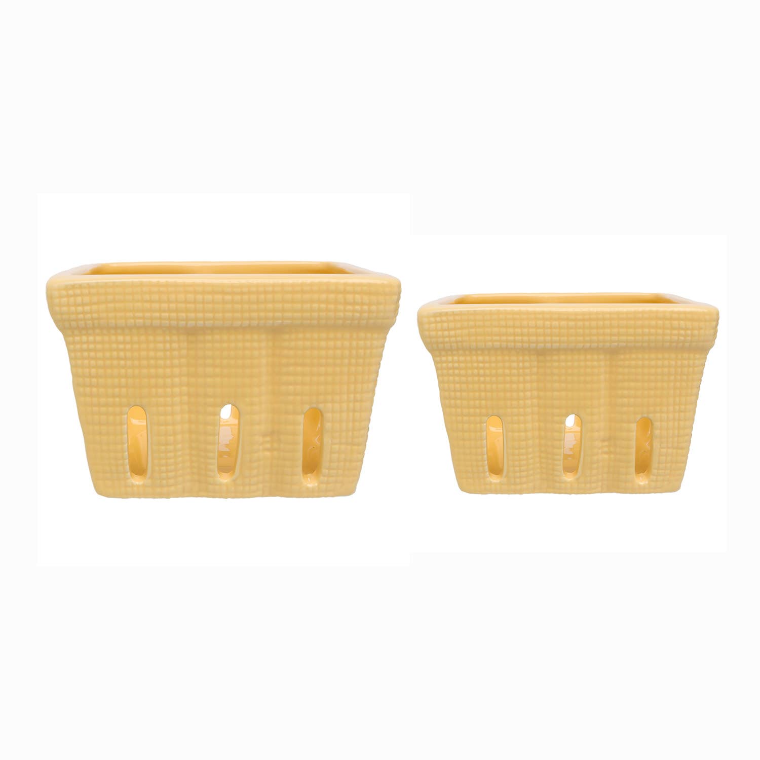 Yellow Berry Ceramic Bowls Set of 2