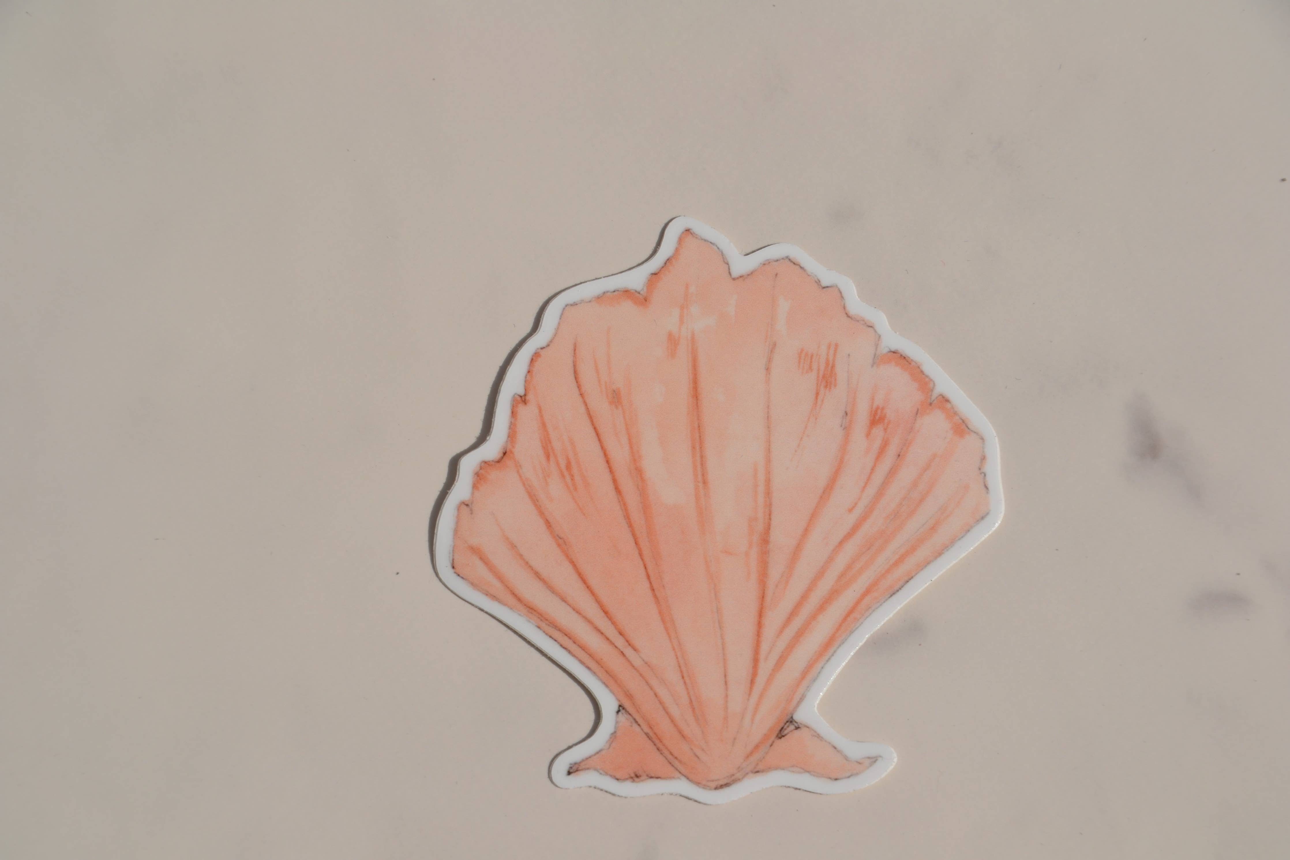 Seashell Sticker
