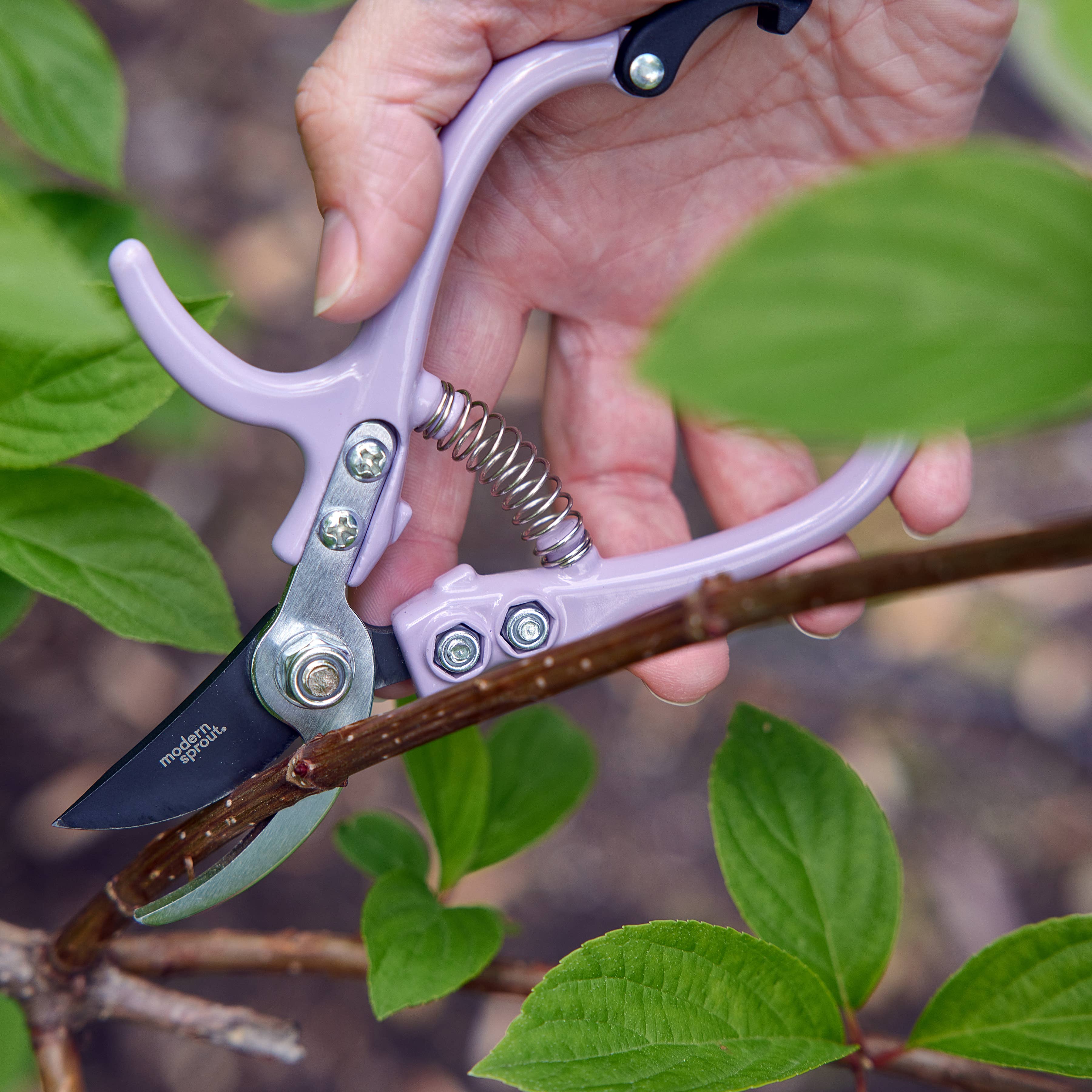 Garden Pruners: Sage