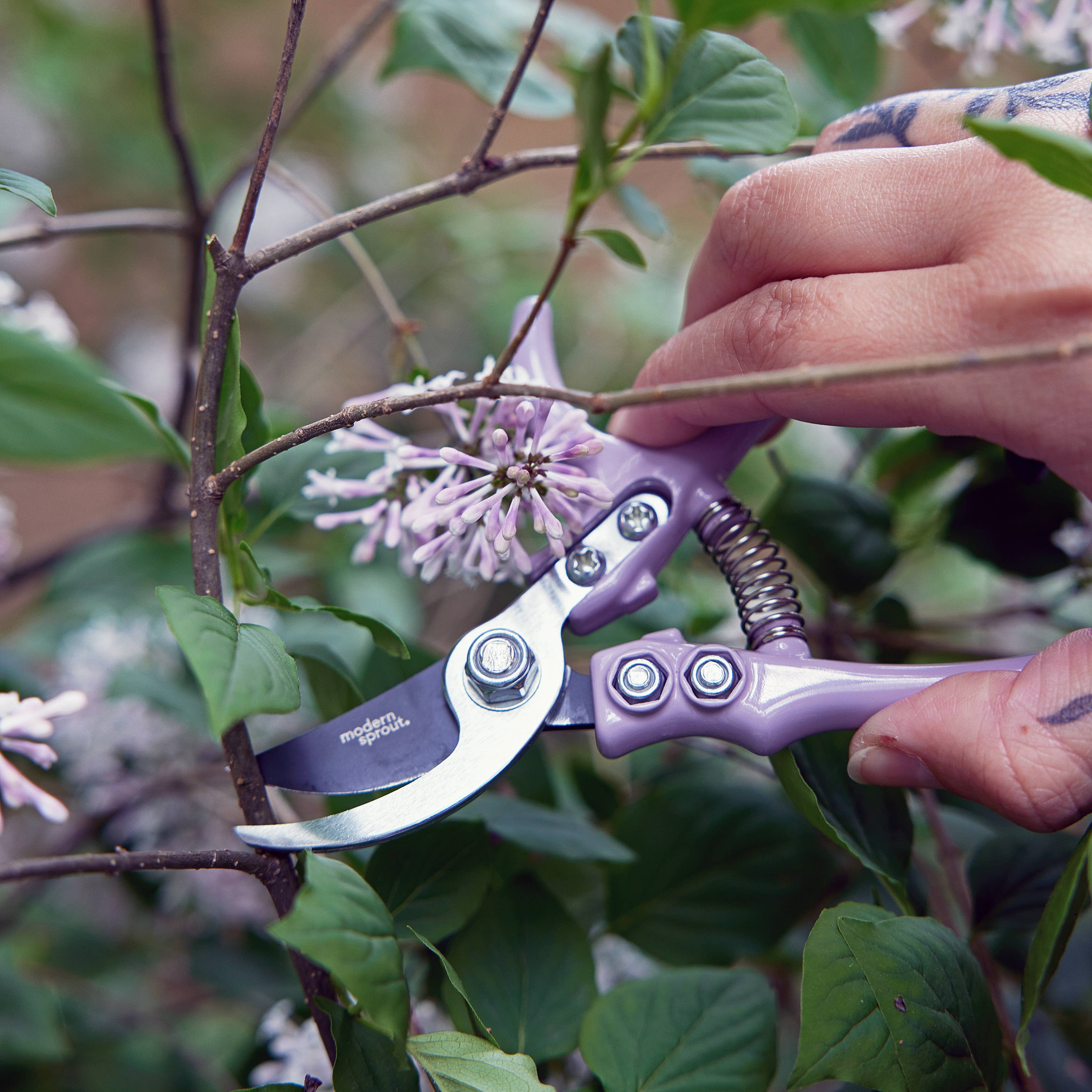 Garden Pruners: Sage