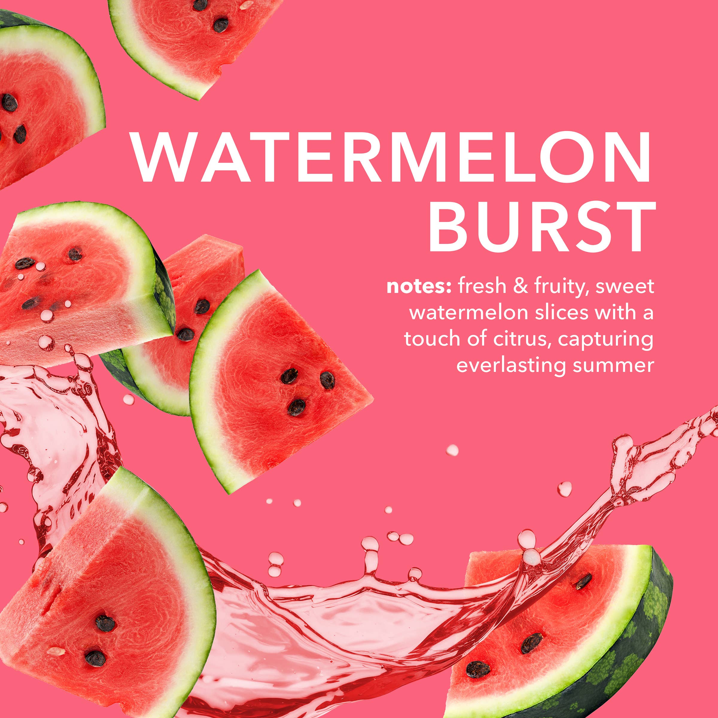 Dionis Watermelon Burst Goat Butter Lip Mask