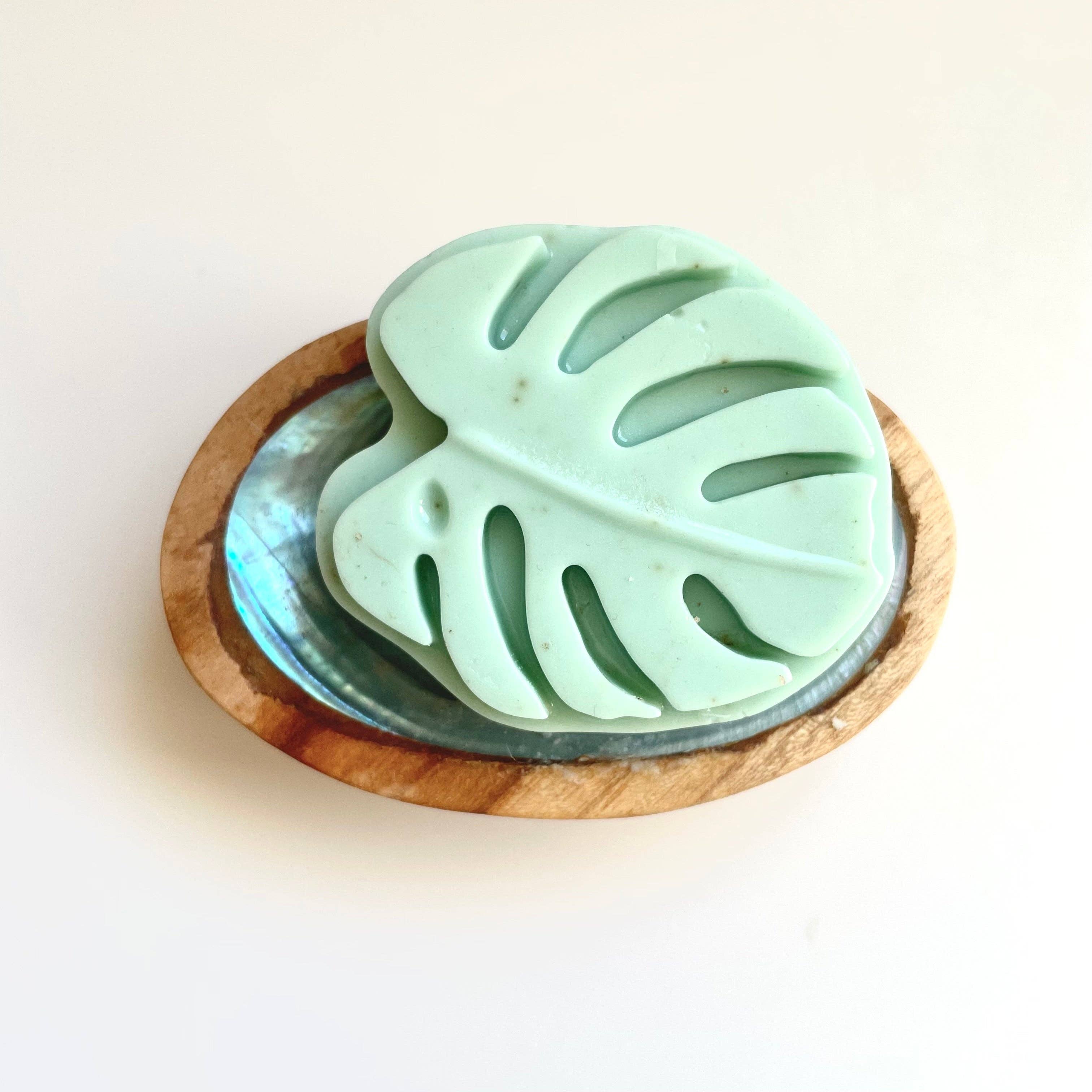 Suds Up Soap Bar: Matcha &amp; Lime