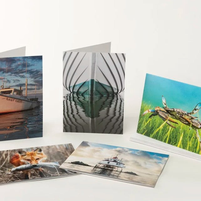 Note Card Set - Jay Fleming