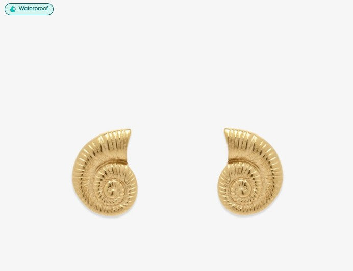 Seashell Stud Earrings - Coastal Jewelry | Magothy Market