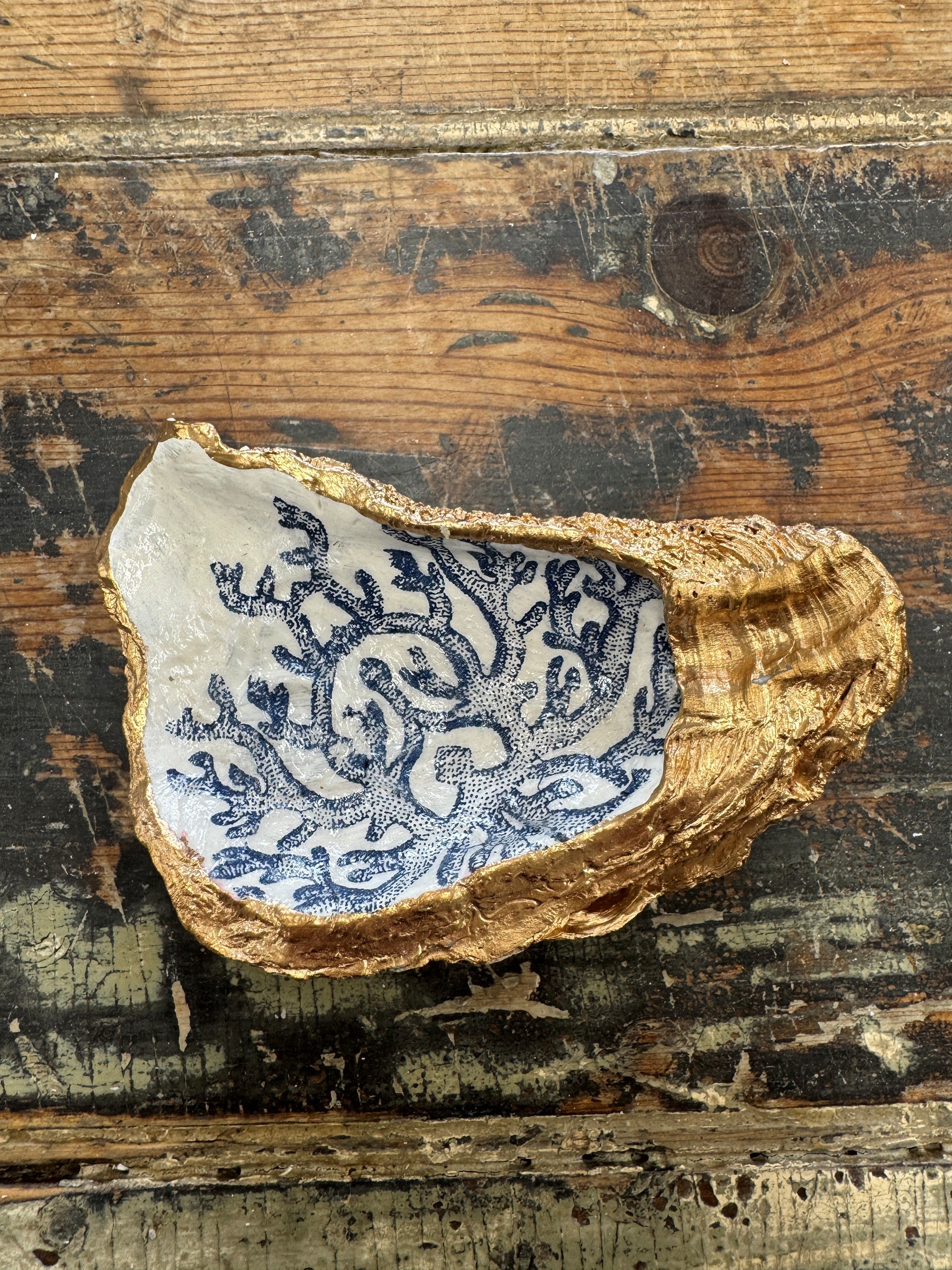Coral Oyster Shell Jewelry Dish