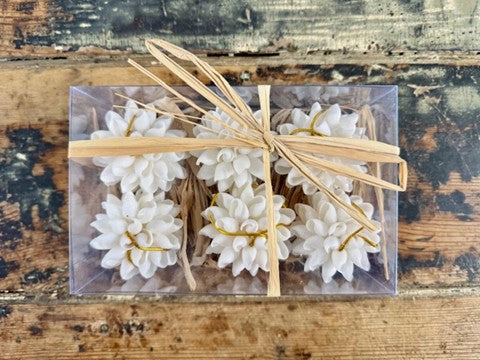 Set of six white bubble shell ornaments