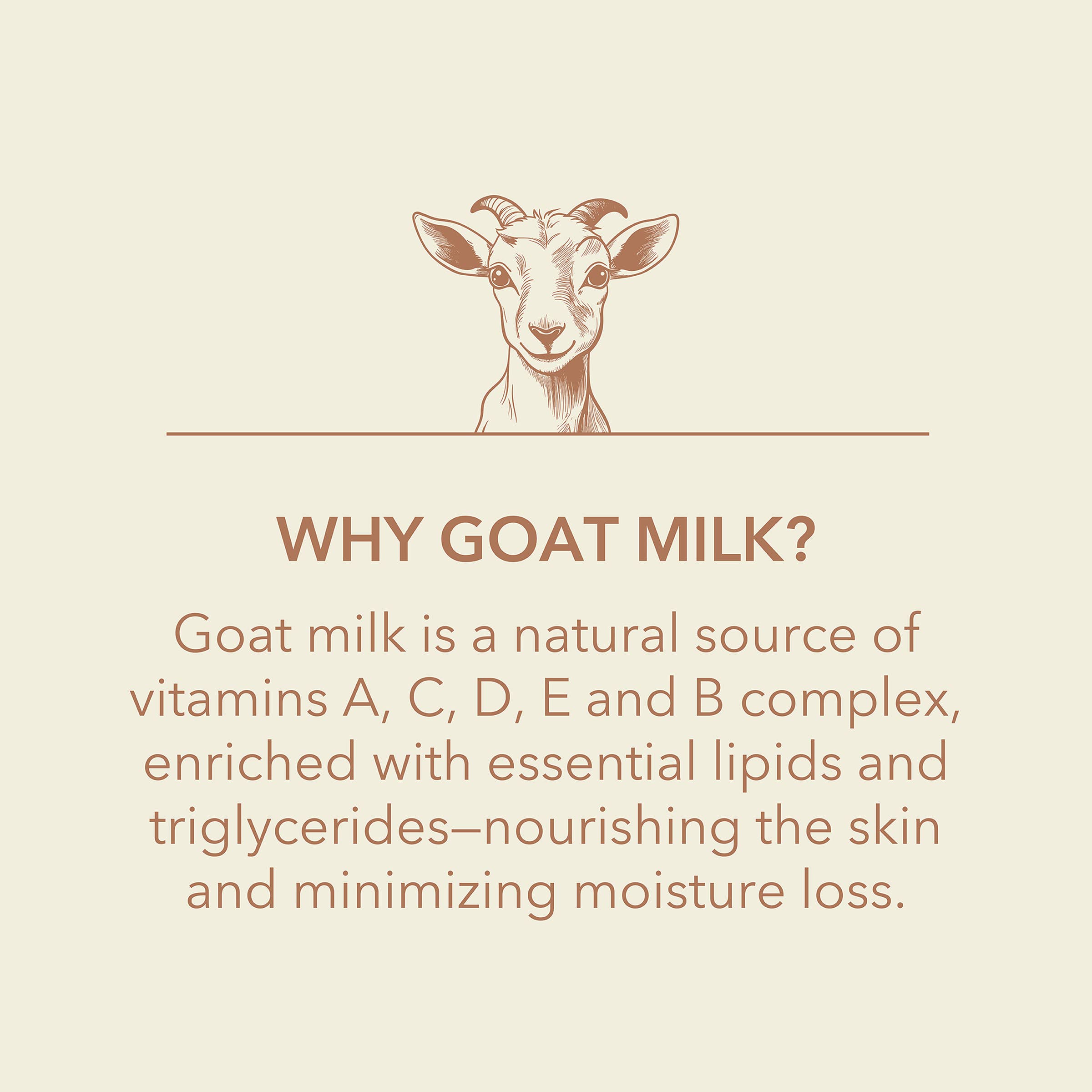 Dionis Vanilla Bean Goat Milk Bar Soap