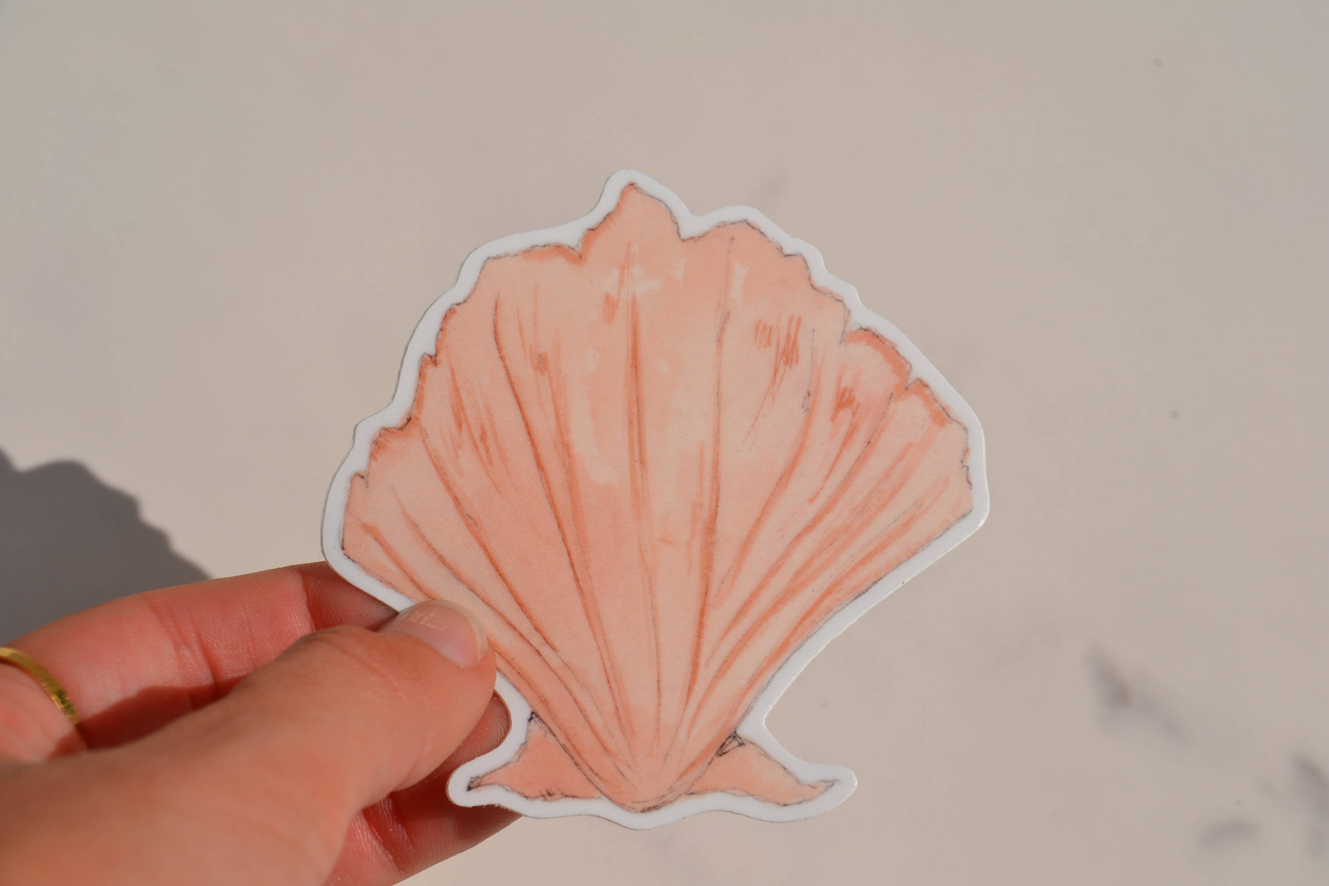 Seashell Sticker
